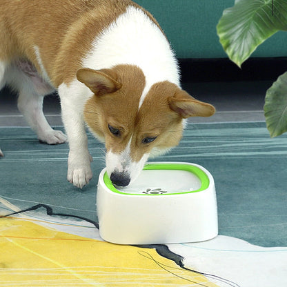 Self-Dispensing Water Fountain for Pets