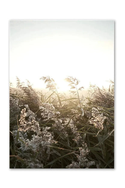 Nordic Wilderness Canvas Art Print | Nature's Essence
