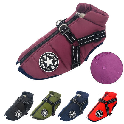 Ultimate Dog Raincoat for All Weather Protection