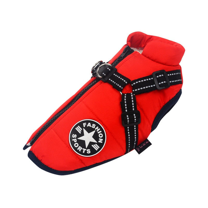 Ultimate Dog Raincoat for All Weather Protection