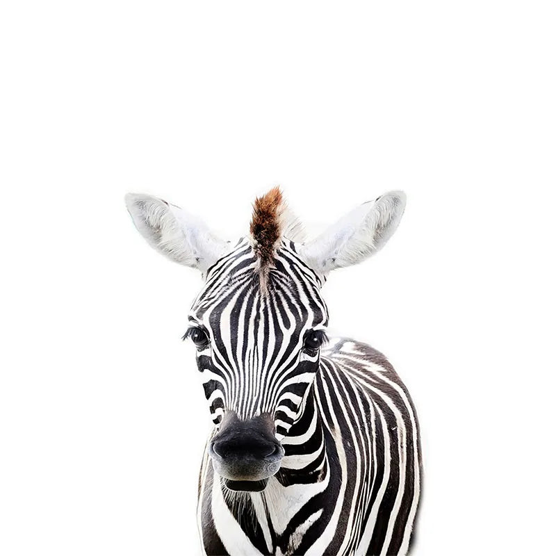 Removable Vinyl Wall Decals of Adorable Animals for Nursery Decor
