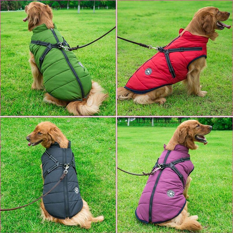 Ultimate Dog Raincoat for All Weather Protection