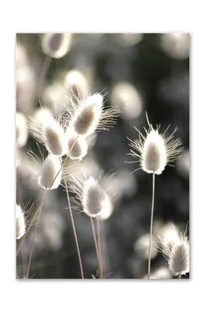 Nordic Wilderness Canvas Art Print | Nature's Essence