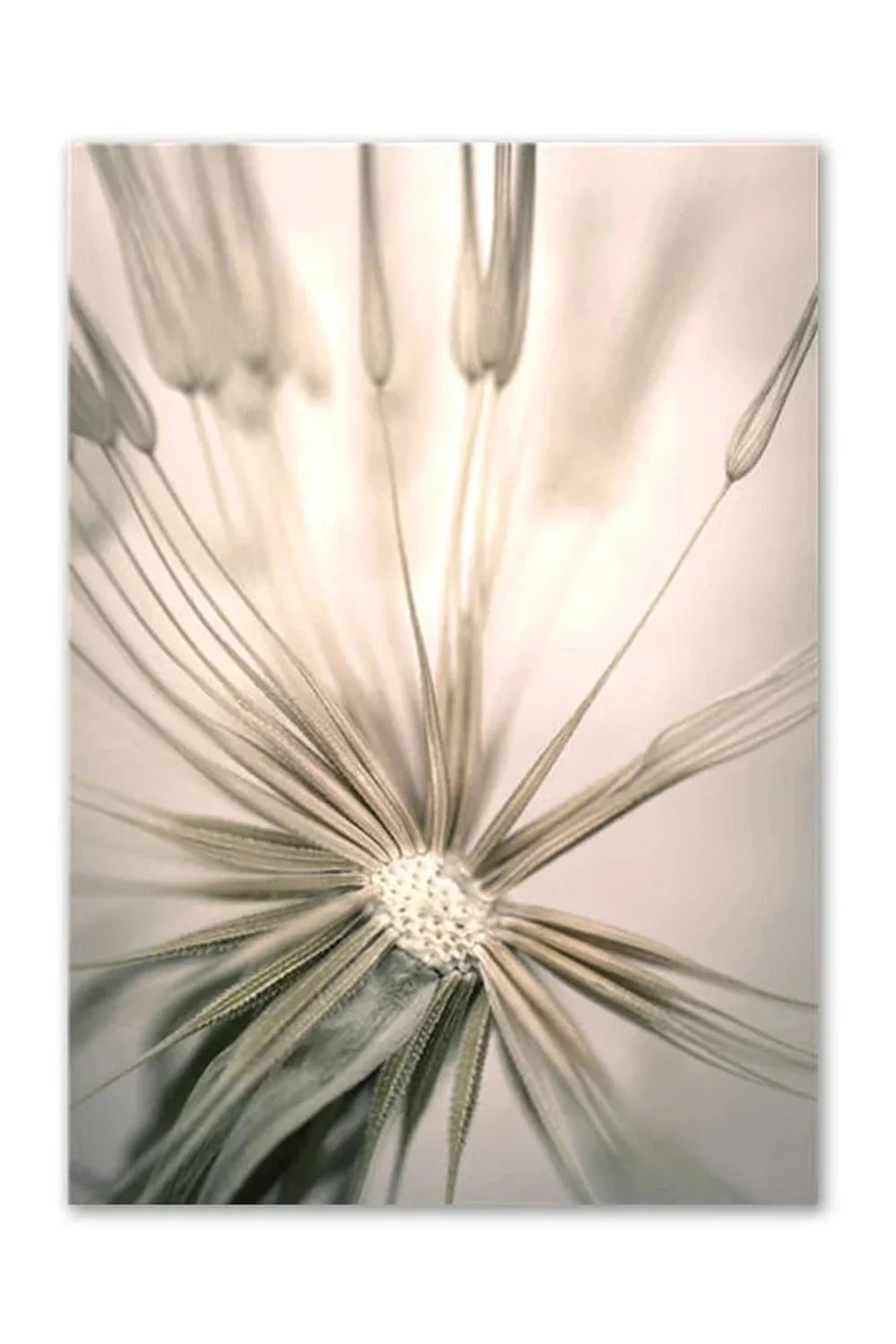 Nordic Wilderness Canvas Art Print | Nature's Essence