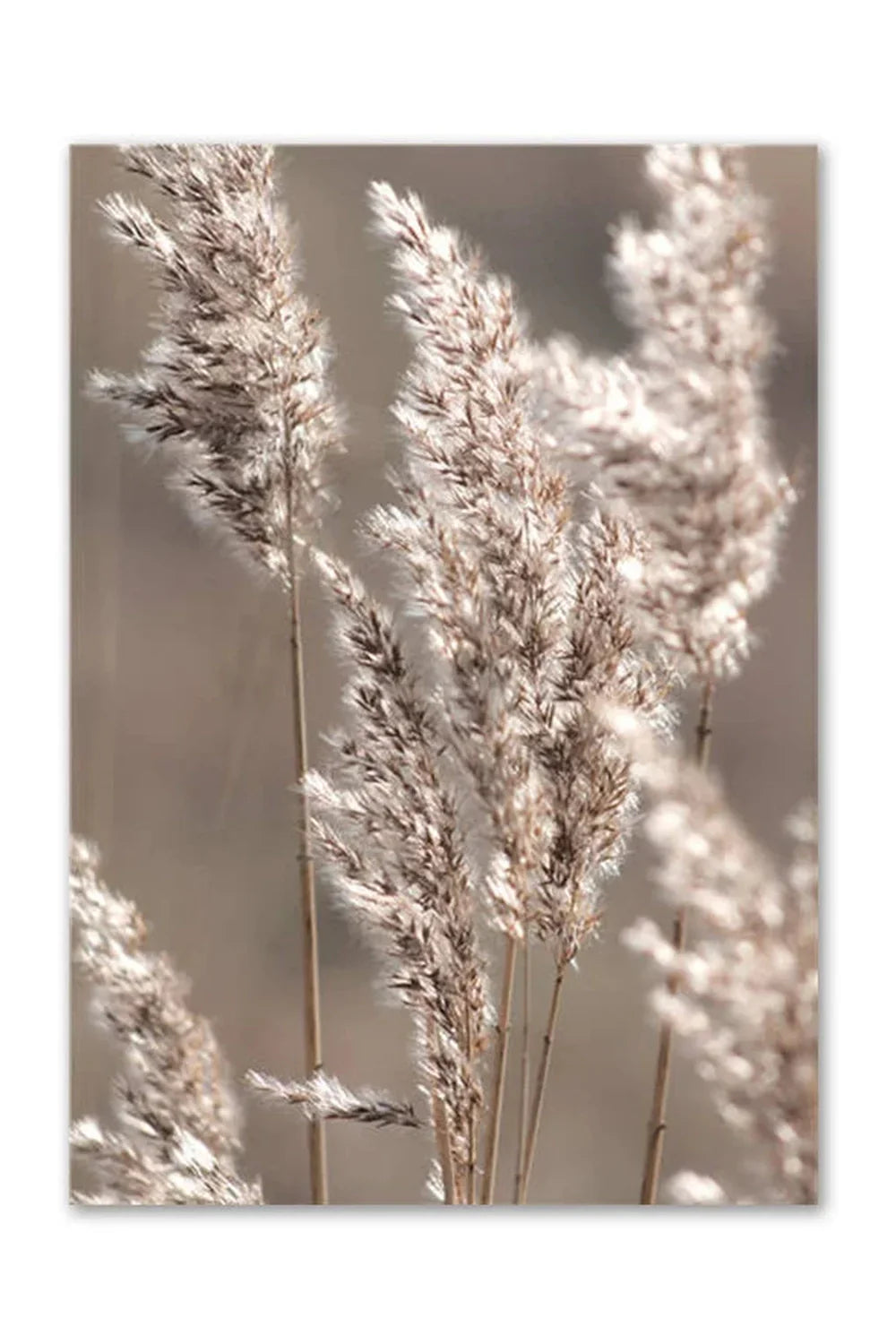 Nordic Wilderness Canvas Art Print | Nature's Essence