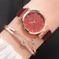 Magnet red set