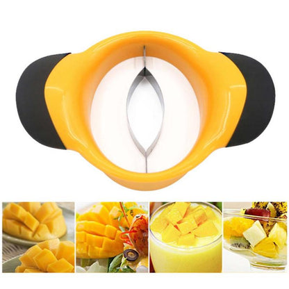 Stainless Steel Mango Seed Remover and Slicer