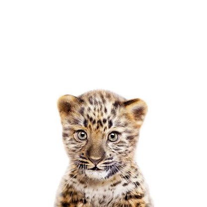 Removable Vinyl Wall Decals of Adorable Animals for Nursery Decor