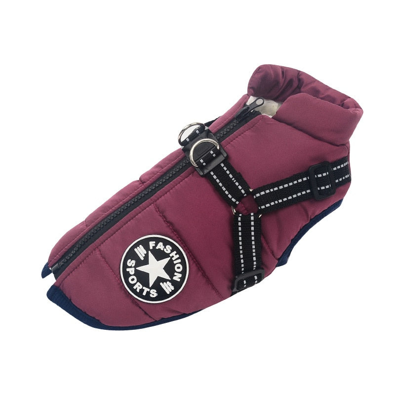 Ultimate Dog Raincoat for All Weather Protection