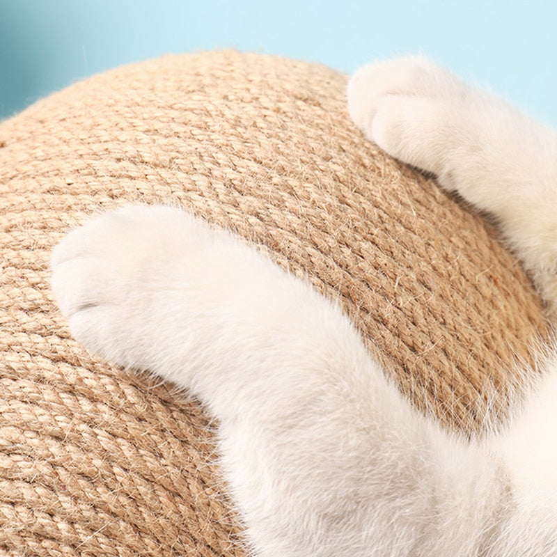 Purrfect Play Ball for Cats