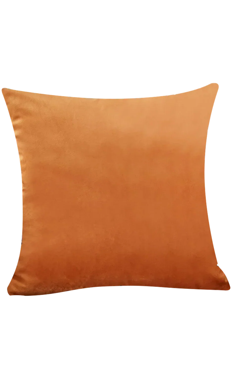 Velvet Cushion Cover in Beige Color