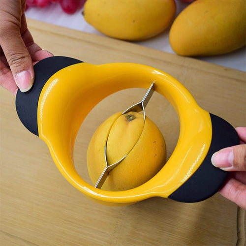 Stainless Steel Mango Seed Remover and Slicer