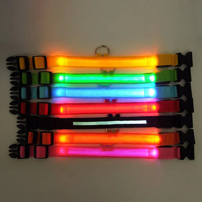 LED Pet Collar for Safety and Visibility – Glow in the Dark