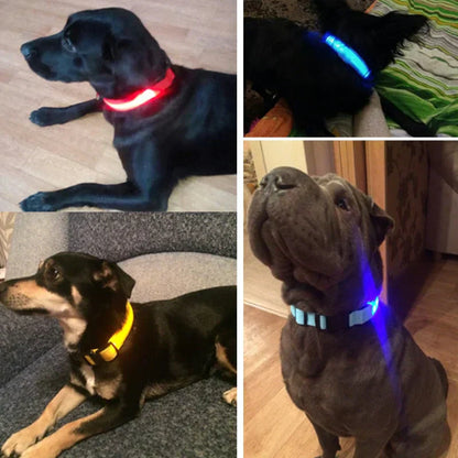 LED Pet Collar for Safety and Visibility – Glow in the Dark