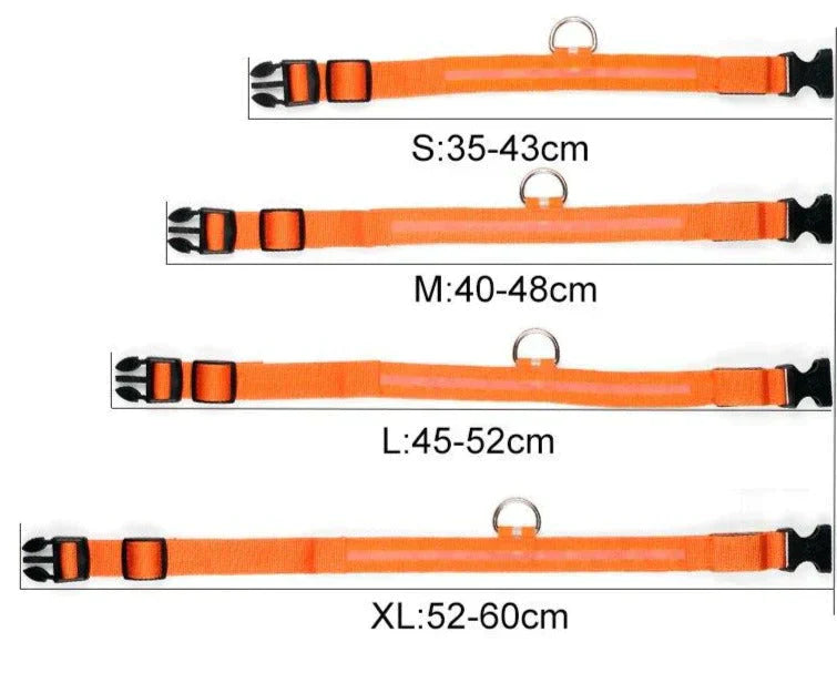 LED Pet Collar for Safety and Visibility – Glow in the Dark
