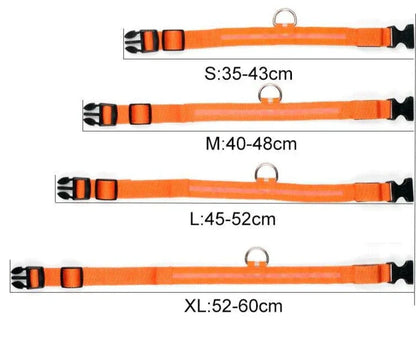 LED Pet Collar for Safety and Visibility – Glow in the Dark