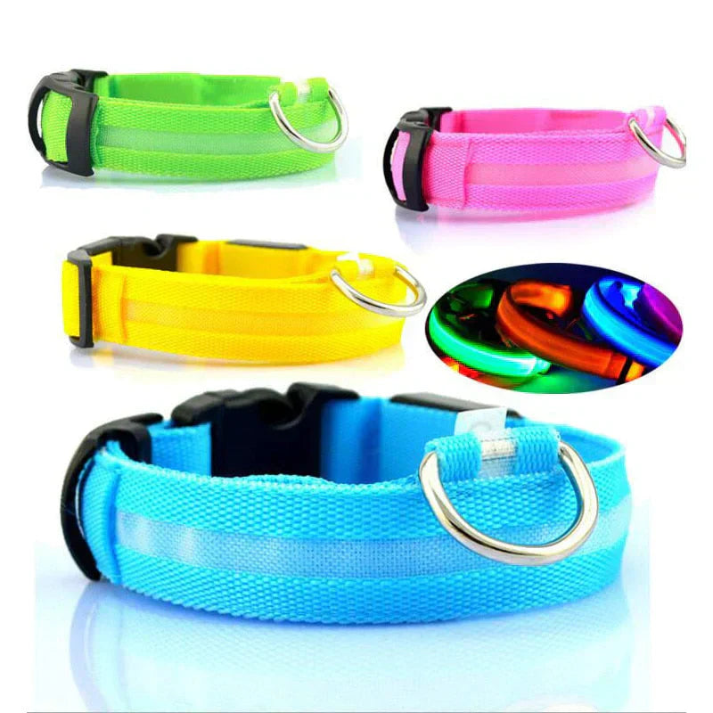 LED Pet Collar for Safety and Visibility – Glow in the Dark