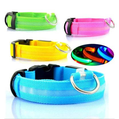 LED Pet Collar for Safety and Visibility – Glow in the Dark
