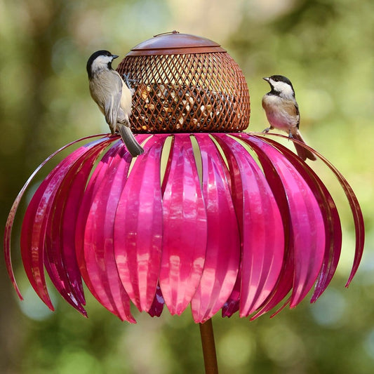 Bird Feeder House – 50% Off Today!