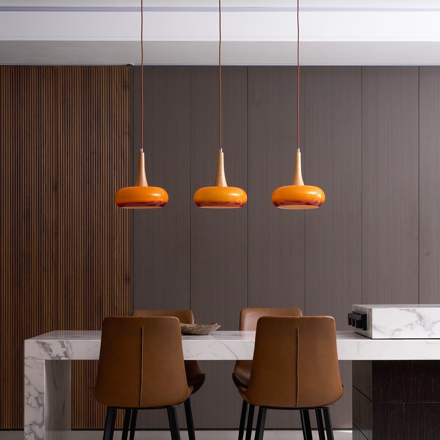 Pendant Light Fixture in Elegant Design