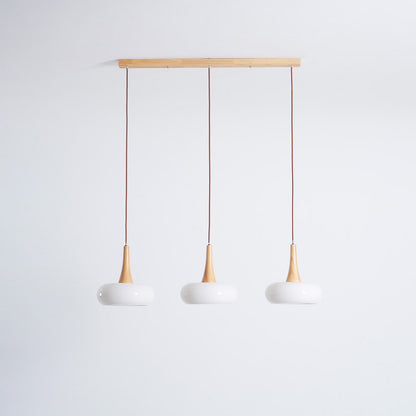 Pendant Light Fixture in Elegant Design