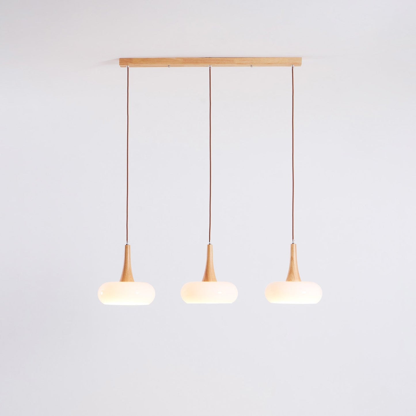 Pendant Light Fixture in Elegant Design