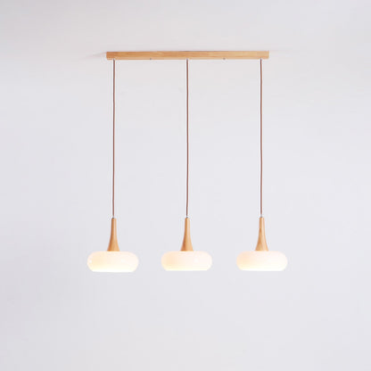 Pendant Light Fixture in Elegant Design