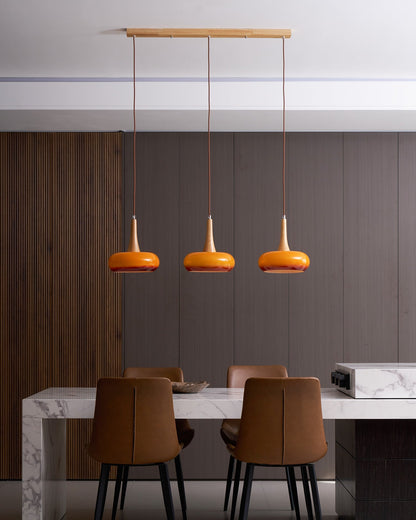 Pendant Light Fixture in Elegant Design