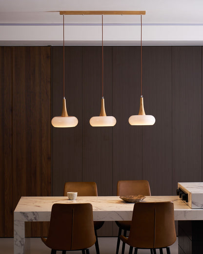 Pendant Light Fixture in Elegant Design