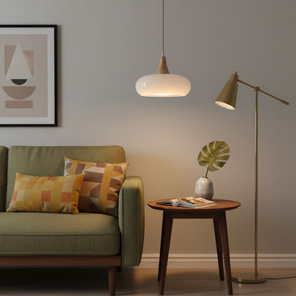 Pendant Light Fixture in Elegant Design