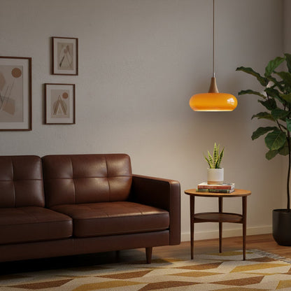 Pendant Light Fixture in Elegant Design