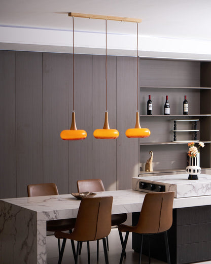 Pendant Light Fixture in Elegant Design