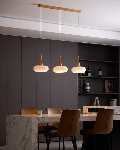 Pendant Light Fixture in Elegant Design