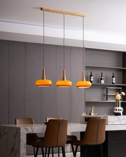 Pendant Light Fixture in Elegant Design