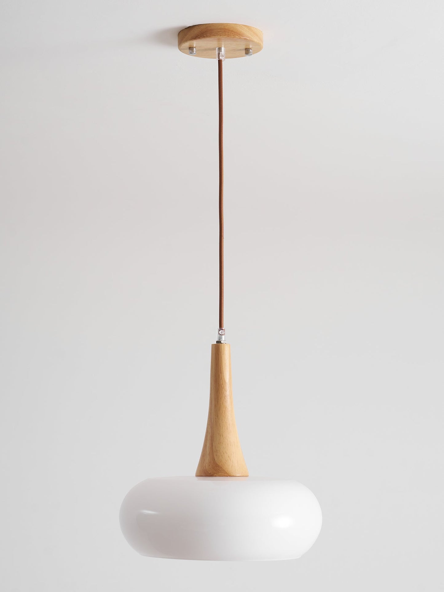 Pendant Light Fixture in Elegant Design