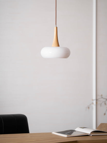 Pendant Light Fixture in Elegant Design