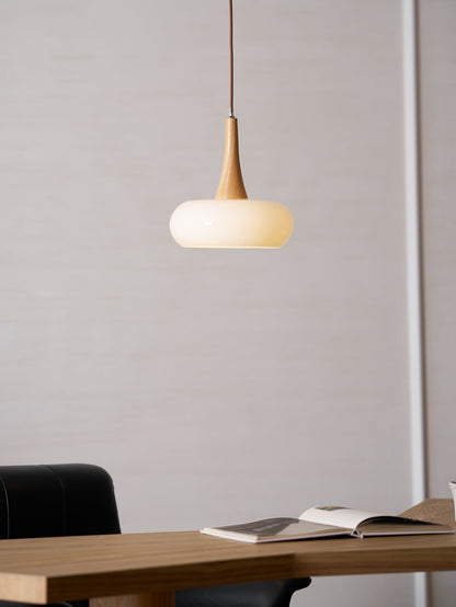 Pendant Light Fixture in Elegant Design