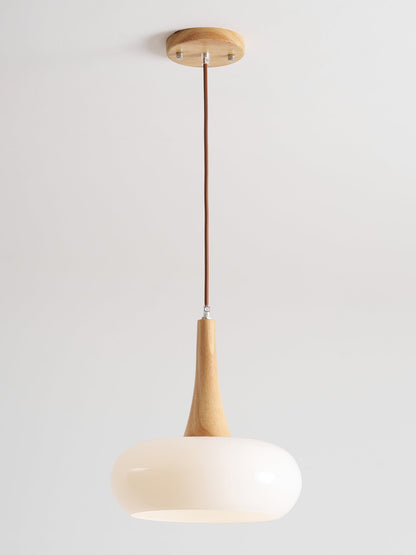 Pendant Light Fixture in Elegant Design