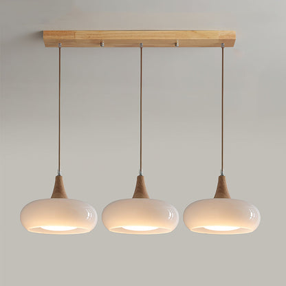 Pendant Light Fixture in Elegant Design
