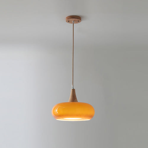 Pendant Light Fixture in Elegant Design