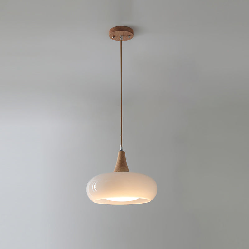 Pendant Light Fixture in Elegant Design