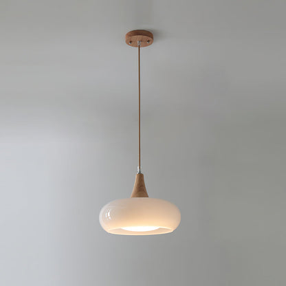 Pendant Light Fixture in Elegant Design