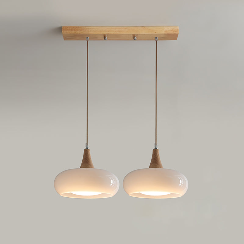 Pendant Light Fixture in Elegant Design