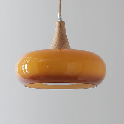 Pendant Light Fixture in Elegant Design
