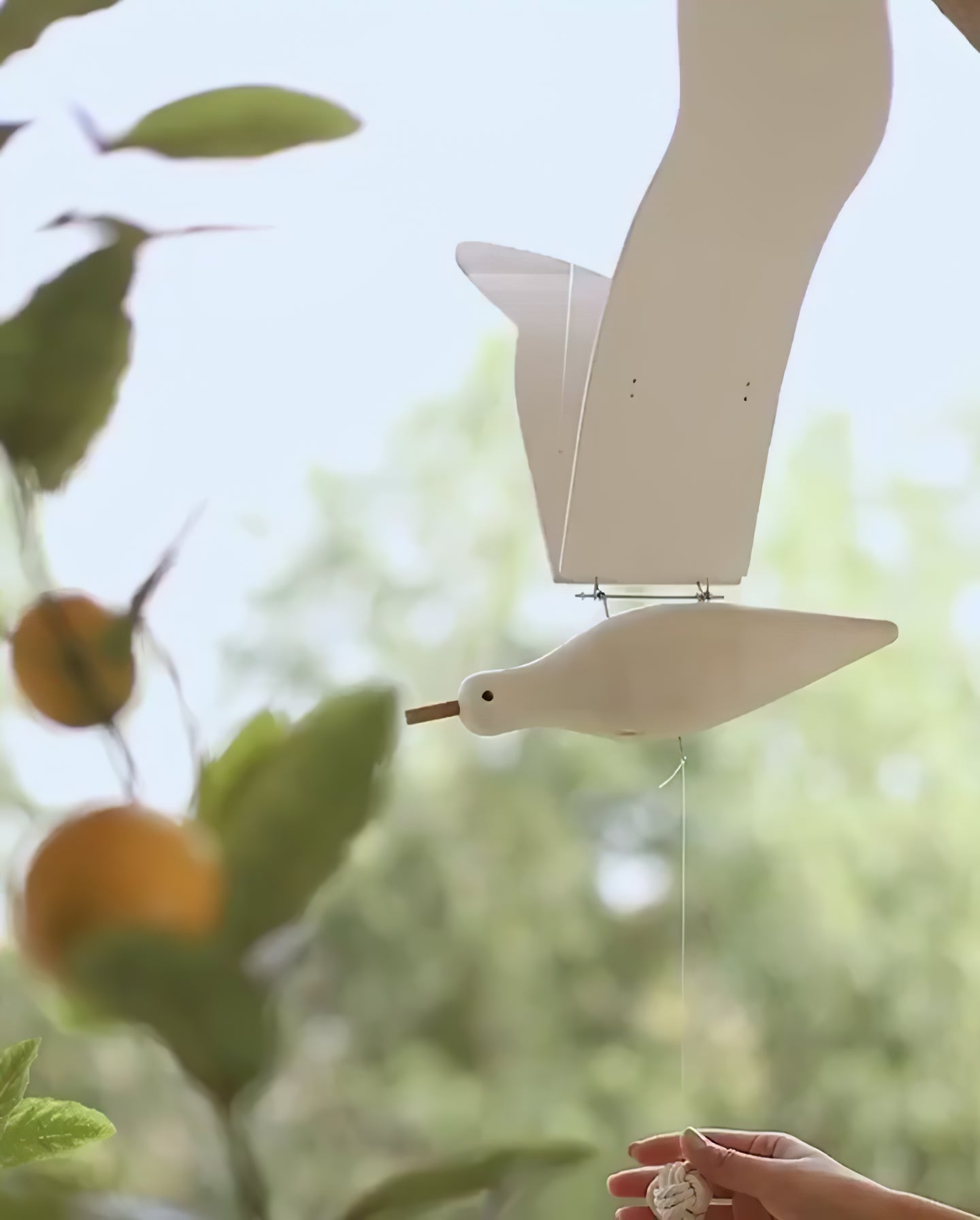 Wooden Seagull Decoration - Coastal Drift Style