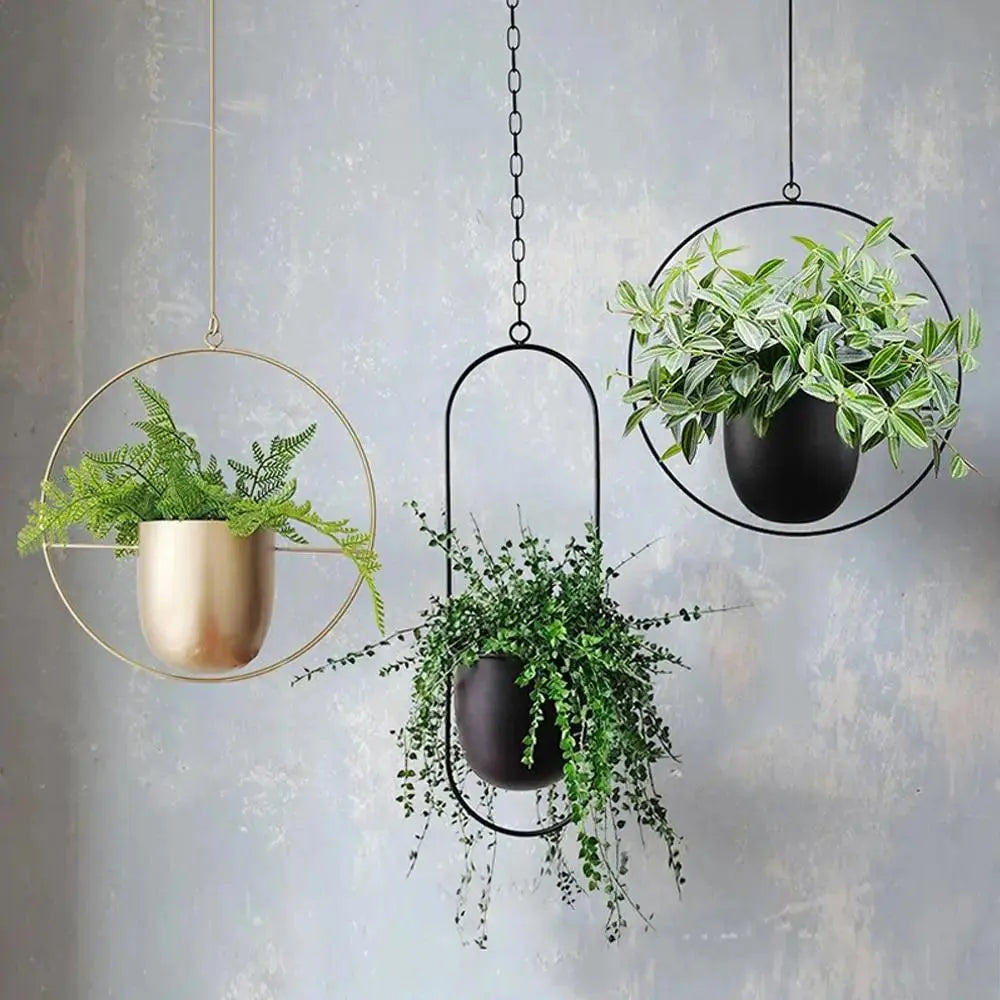 Stylish Hanging Metal Planter with Chain in Two Shapes