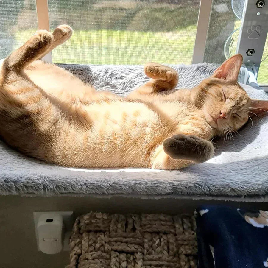 CozyCat Hammock - Ultimate Relaxation for Your Feline