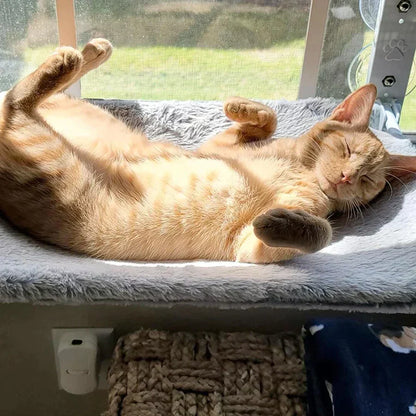 CozyCat Hammock - Ultimate Relaxation for Your Feline
