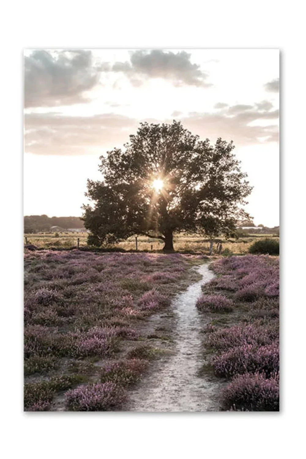 Nordic Wilderness Canvas Art Print | Nature's Essence