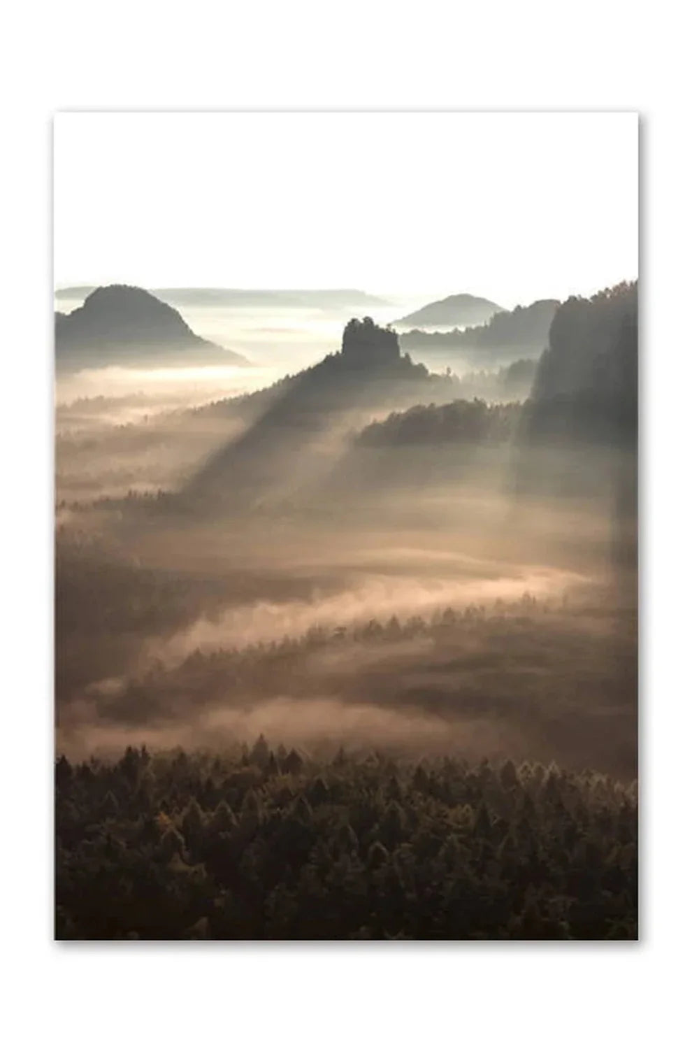 Nordic Wilderness Canvas Art Print | Nature's Essence